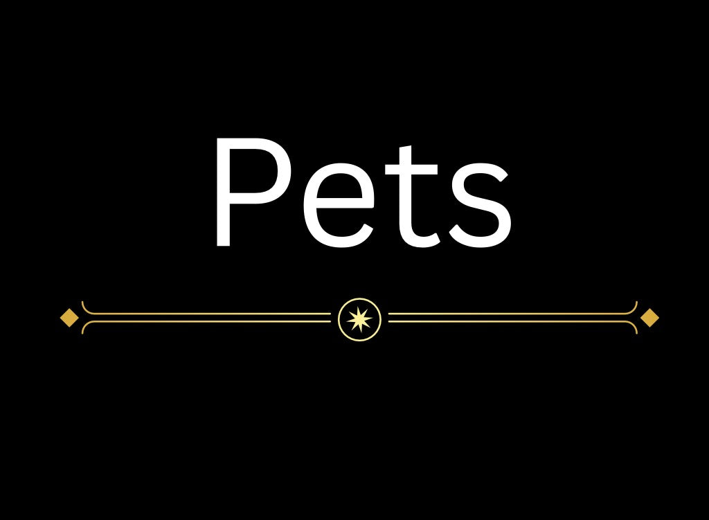 Pet Items