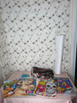 Coloring books, fabric, vinyl, rocks